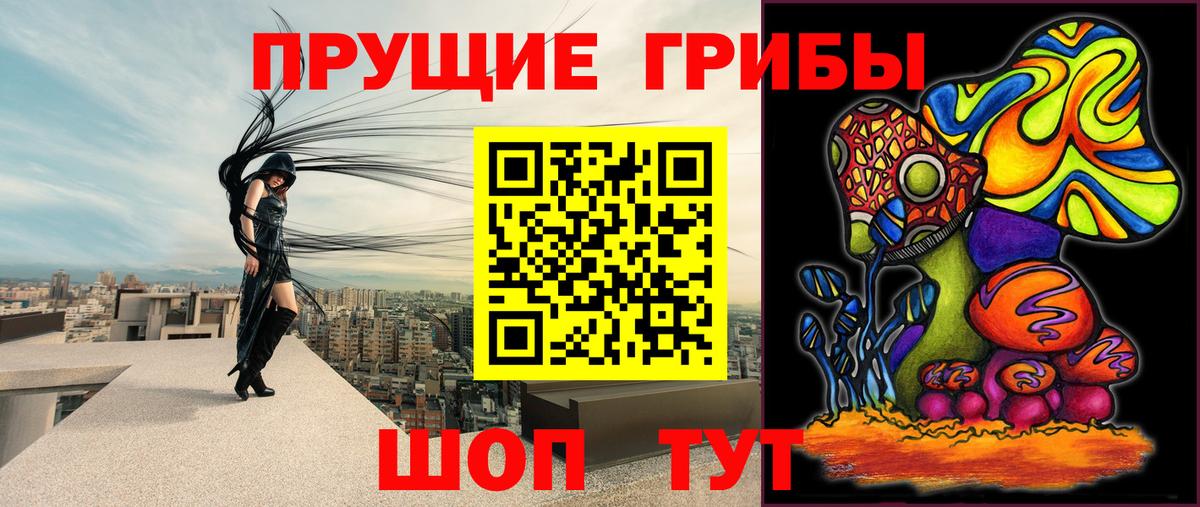 Псилоцибиновые грибы MAGIC MUSHROOMS  Галлюциногенные грибы Psilocybe  где найти   Домодедово  Вход с VPN 